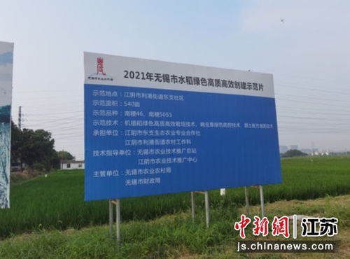 江陰 綠色防控引入 利器 農產品更綠色更安全